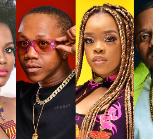 Amapiano visual data 3